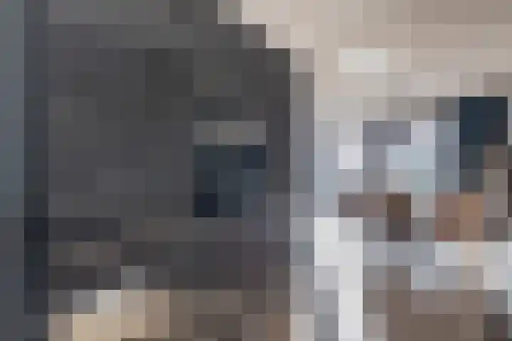 Catsstraat 60 Alkmaar thumbnail 16