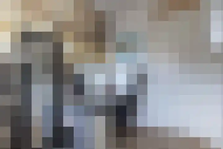 Catsstraat 60 Alkmaar thumbnail 32