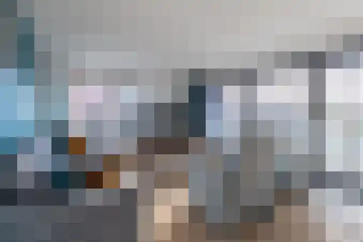 Catsstraat 60 Alkmaar thumbnail 4