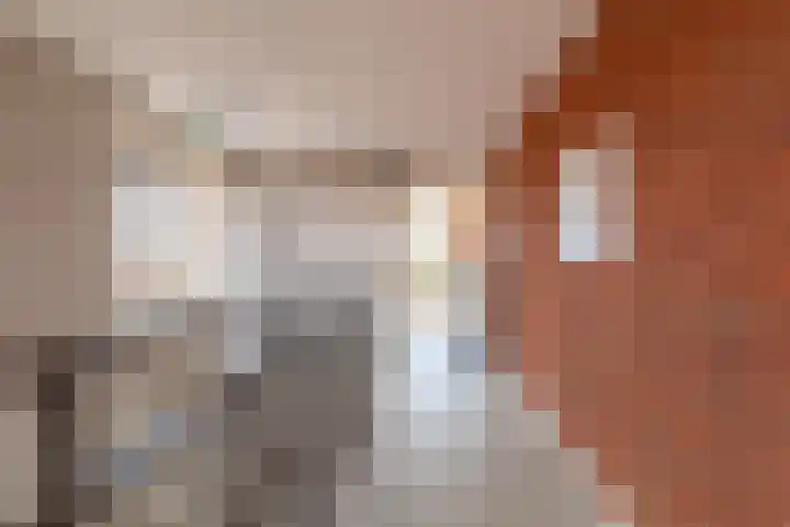 Catsstraat 60 Alkmaar thumbnail 43