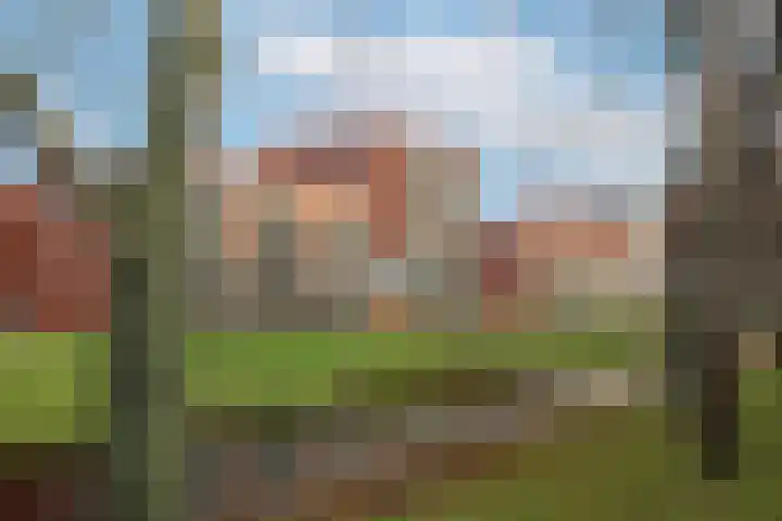 Catsstraat 60 Alkmaar thumbnail 48