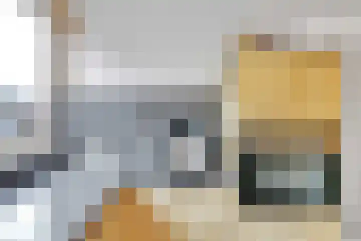 Catsstraat 9 Bergschenhoek thumbnail 10
