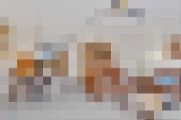 Catsstraat 9 Bergschenhoek thumbnail 12