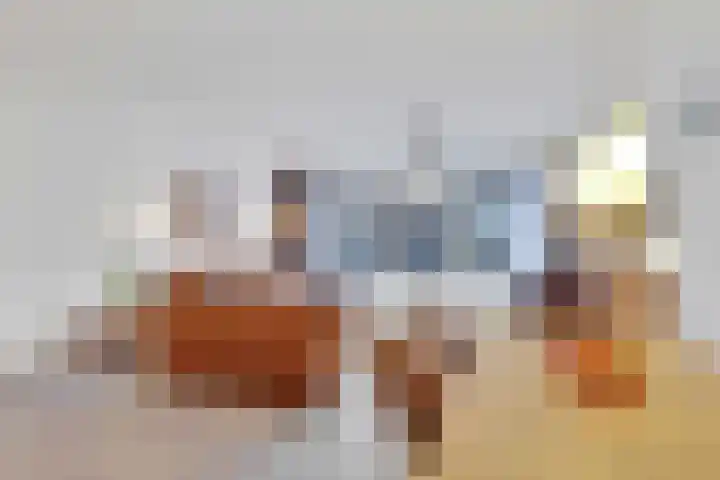 Catsstraat 9 Bergschenhoek thumbnail 14