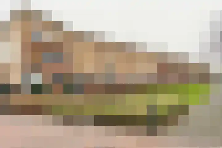 Catsstraat 9 Bergschenhoek thumbnail 39