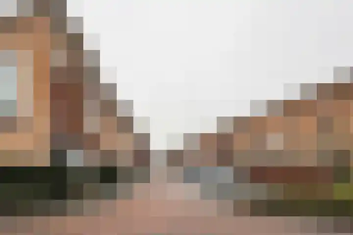 Catsstraat 9 Bergschenhoek thumbnail 41