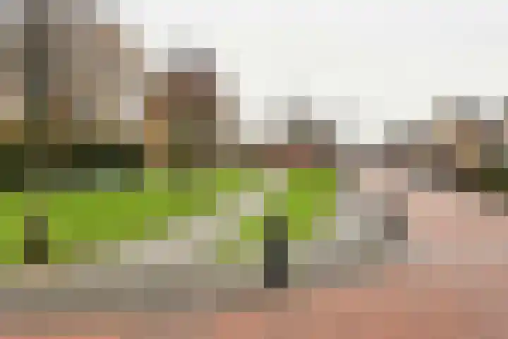 Catsstraat 9 Bergschenhoek thumbnail 42