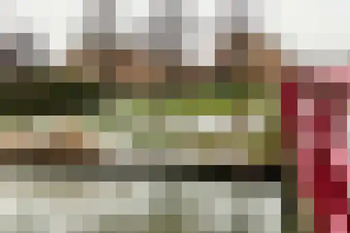 Catsstraat 9 Bergschenhoek thumbnail 43
