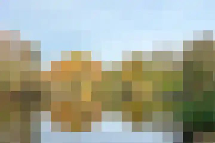 Catsstraat 9 Bergschenhoek thumbnail 44