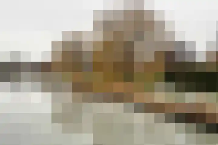 Catsstraat 9 Bergschenhoek thumbnail 45