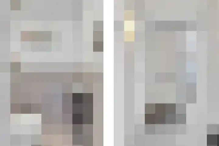 Catsstraat 9 Bergschenhoek thumbnail 8