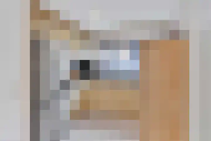 Catsstraat 9 Bergschenhoek thumbnail 9