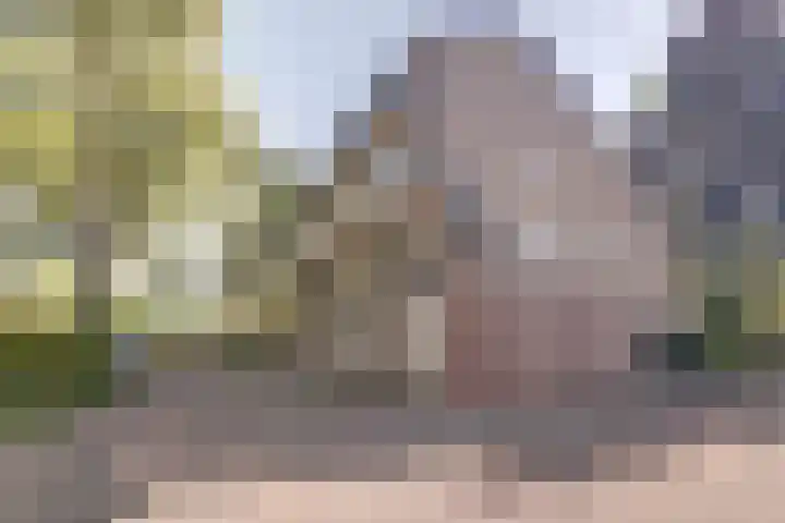 Catsveld 1 Gouda thumbnail 29