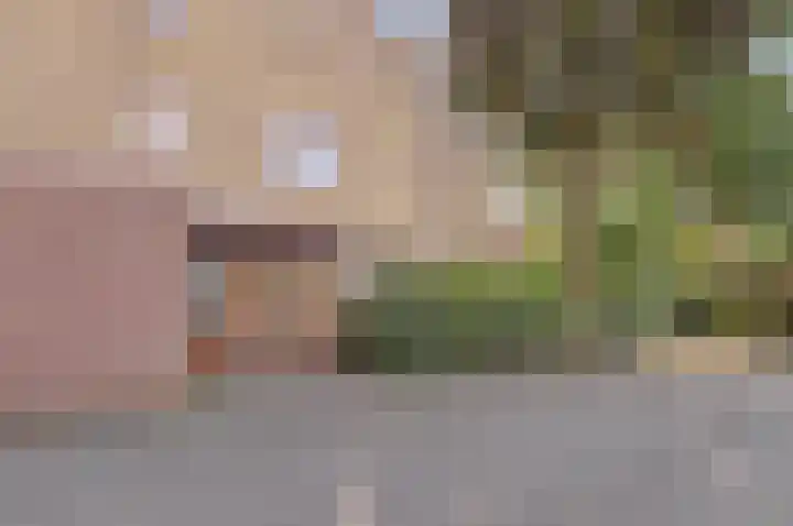 Catsveld 1 Gouda thumbnail 30
