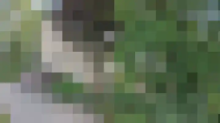 Catsveld 1 Gouda thumbnail 31