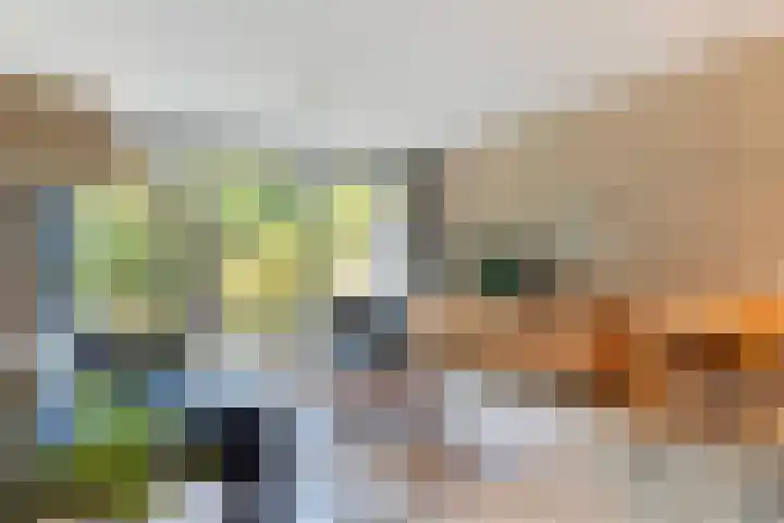 Catsveld 10 Gouda thumbnail 10