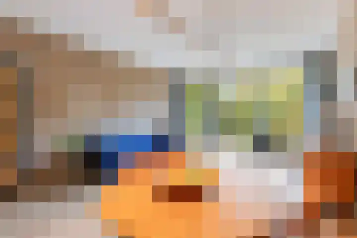 Catsveld 10 Gouda thumbnail 12
