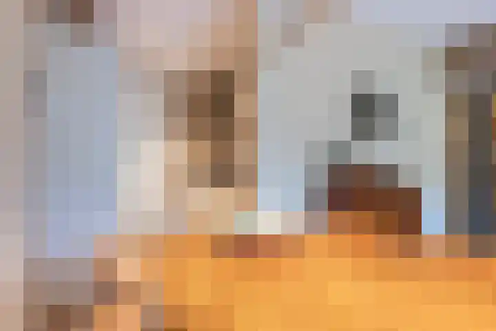 Catsveld 10 Gouda thumbnail 15