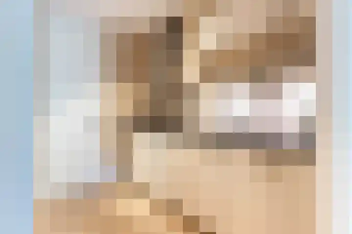 Catsveld 10 Gouda thumbnail 16