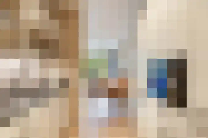 Catsveld 10 Gouda thumbnail 18