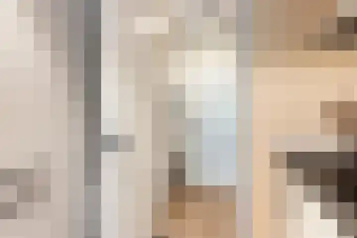 Catsveld 10 Gouda thumbnail 19