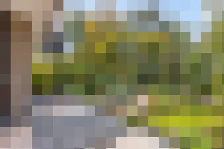 Catsveld 10 Gouda thumbnail 29