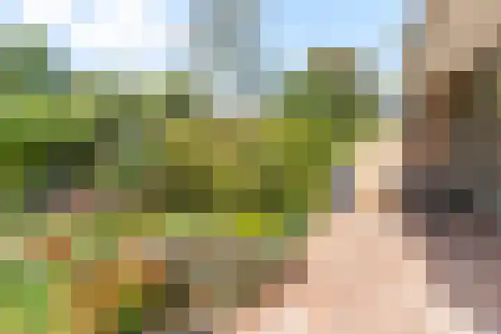 Catsveld 10 Gouda thumbnail 30