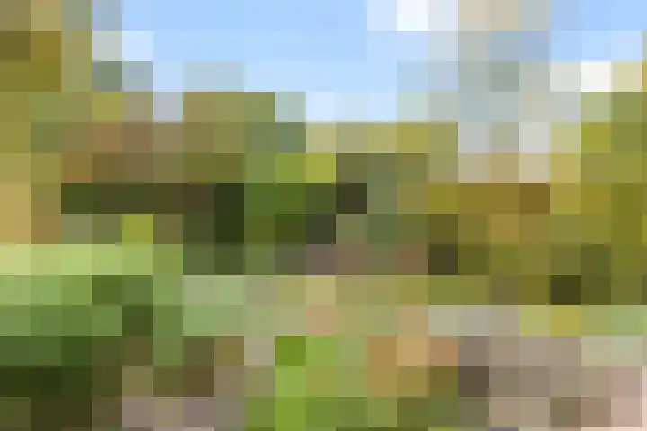 Catsveld 10 Gouda thumbnail 31