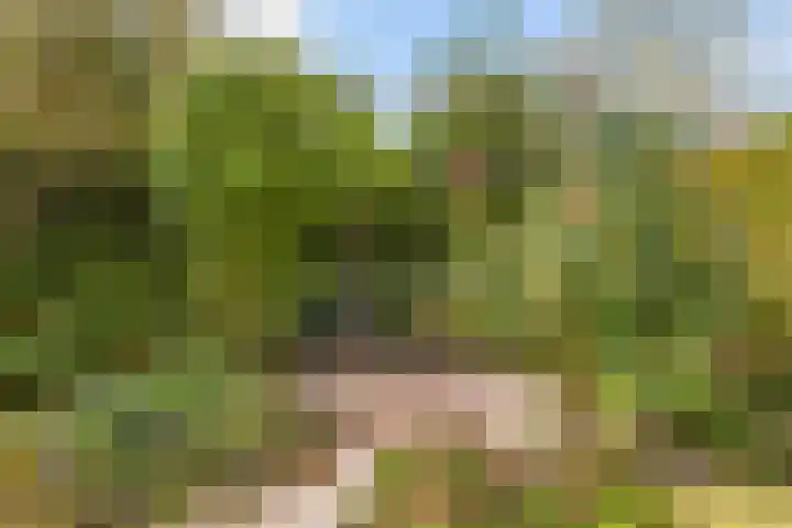 Catsveld 10 Gouda thumbnail 32