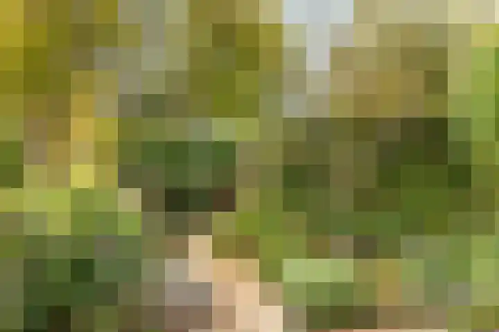 Catsveld 10 Gouda thumbnail 33