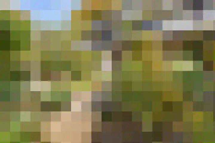 Catsveld 10 Gouda thumbnail 34