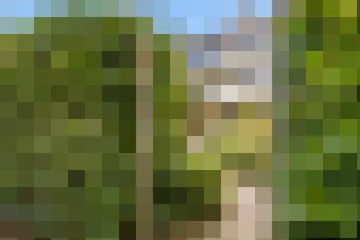 Catsveld 10 Gouda thumbnail 35
