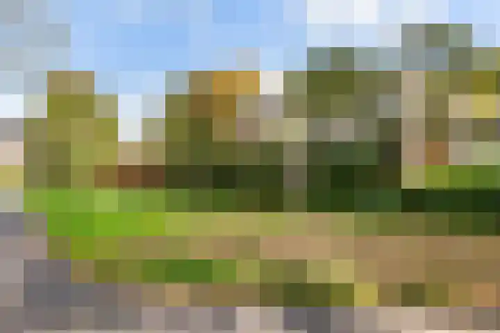 Catsveld 10 Gouda thumbnail 36