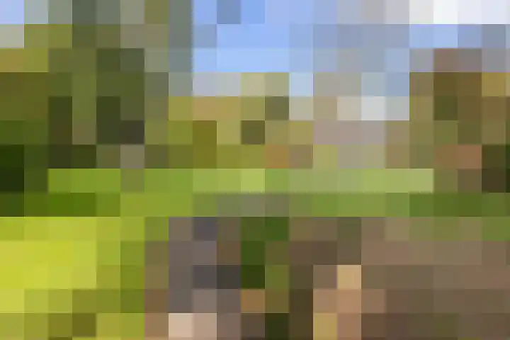 Catsveld 10 Gouda thumbnail 37