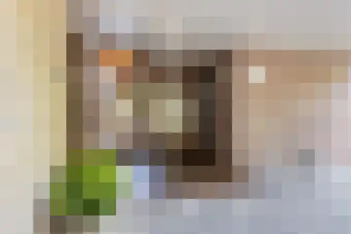 Catsveld 10 Gouda thumbnail 39