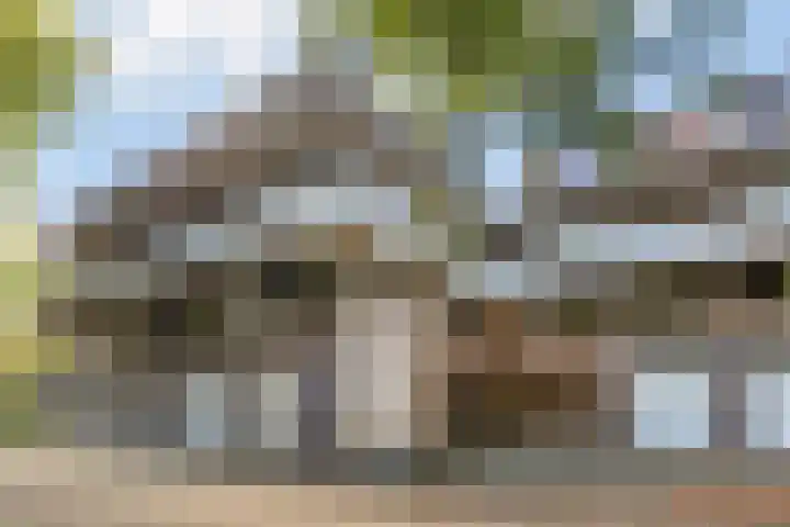 Catsveld 10 Gouda thumbnail 5