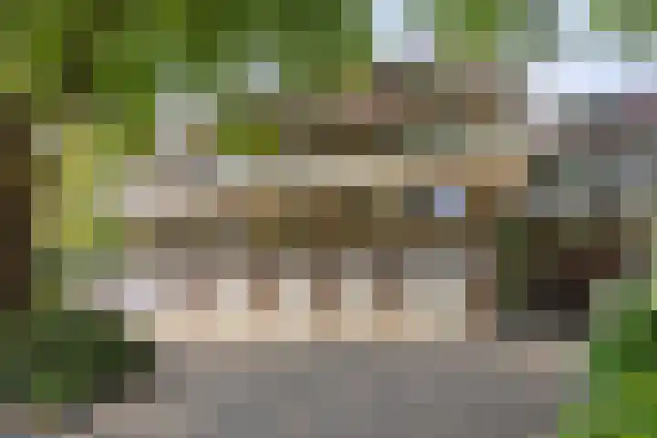 Catsveld 113 in Gouda