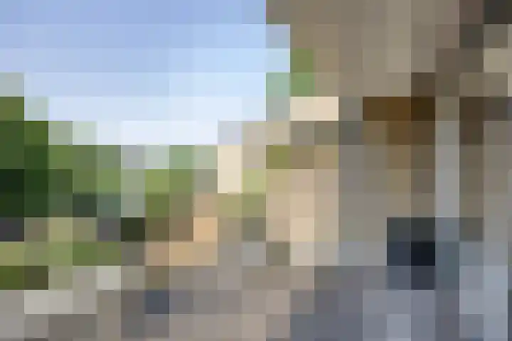 Catsveld 113 Gouda thumbnail 11