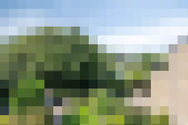 Catsveld 113 Gouda thumbnail 13
