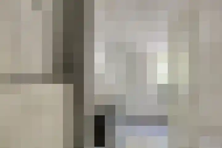 Catsveld 113 Gouda thumbnail 18
