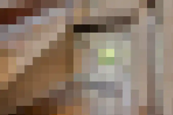 Catsveld 113 Gouda thumbnail 22