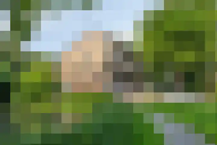Catsveld 113 Gouda thumbnail 23