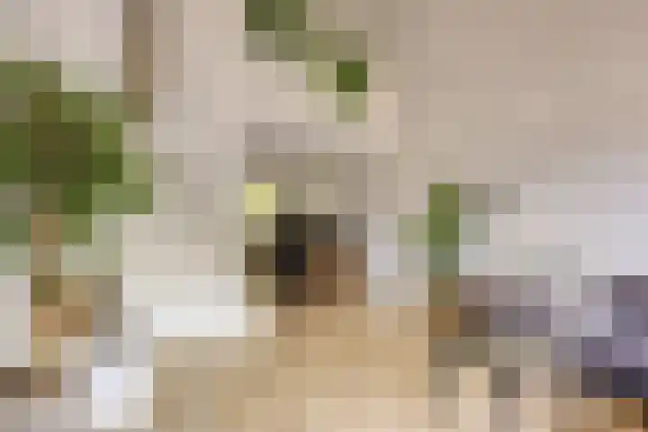 Catsveld 113 Gouda thumbnail 4