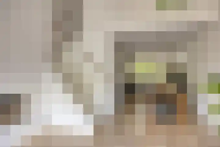 Catsveld 113 Gouda thumbnail 6