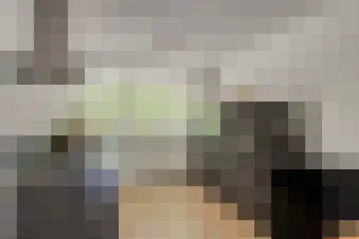 Catsveld 113 Gouda thumbnail 7
