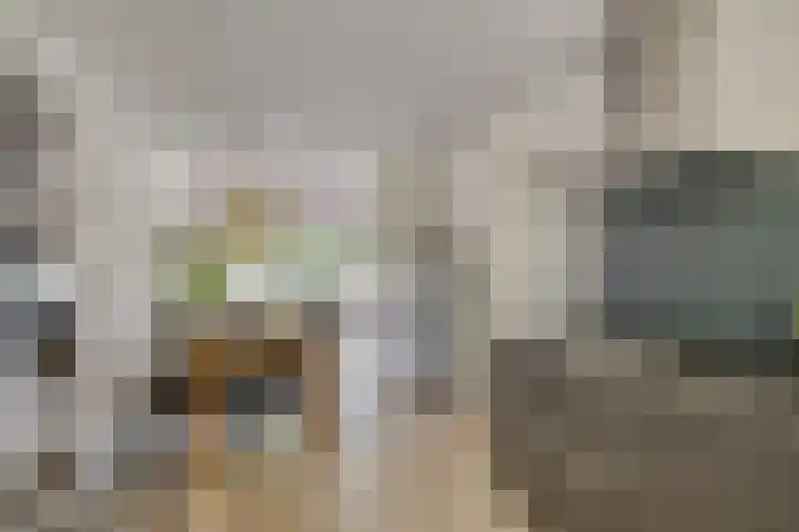 Catsveld 113 Gouda thumbnail 8