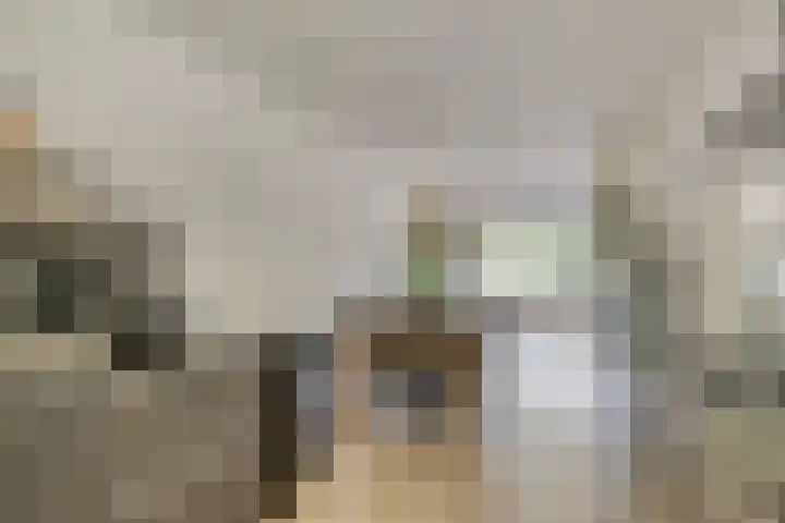 Catsveld 113 Gouda thumbnail 9