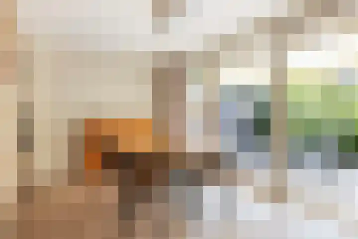 Catsveld 130 Gouda thumbnail 11