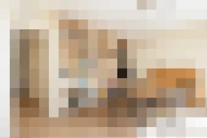 Catsveld 130 Gouda thumbnail 13