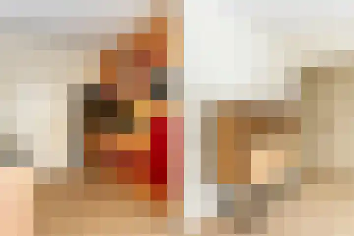 Catsveld 130 Gouda thumbnail 15